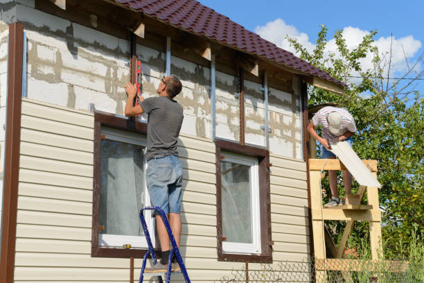 Affordable Siding Repair and Maintenance Services in Rock Rapids, IA