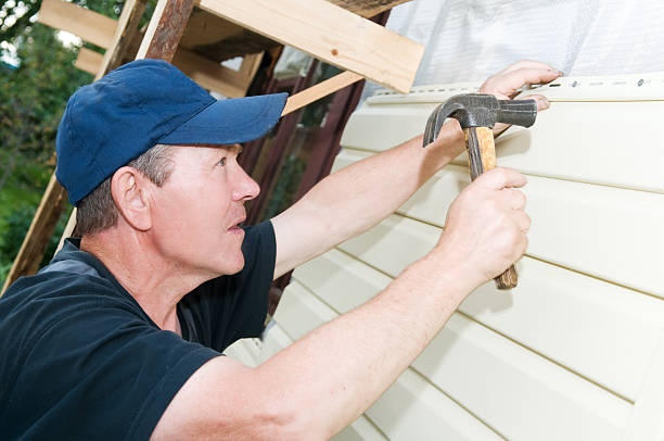 Best Insulated Siding Installation  in Rock Rapids, IA