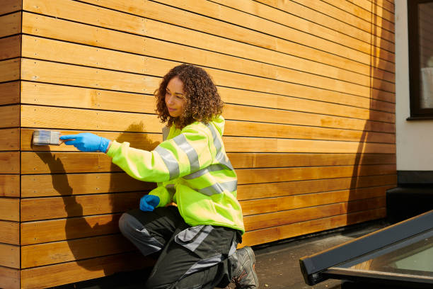 Best Stone Veneer Siding  in Rock Rapids, IA