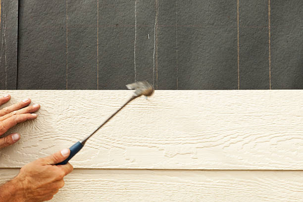 Trusted Rock Rapids, IA Siding Experts